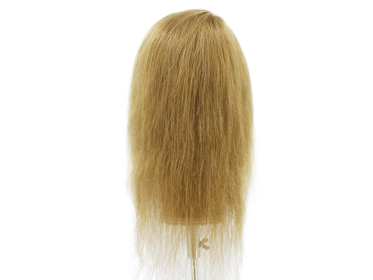 Film Lacefront Wig 100% handtied - Euro Hair 13.7Inch  Blonde