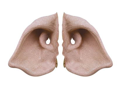 TIGA-D Pig Ears Latex Rubber