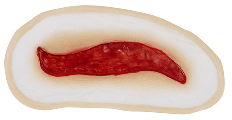 TIGA-D Wound 10 Silicone