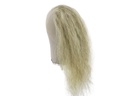 Film Lacefront Wig 100% handtied - Euro hair 19.6-21.6inch Blonde Grey