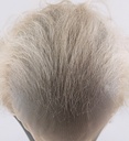 ATB ARIF Male Thermo Lace Wig with thinning hair on top