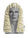 ATB Costume Wig Judge