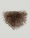 ATB Schamhaar P1, weibliche Form