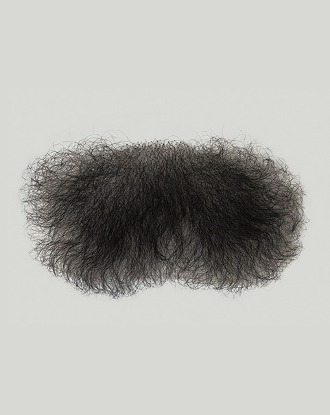 ATB Pubic Hair P2, male shape