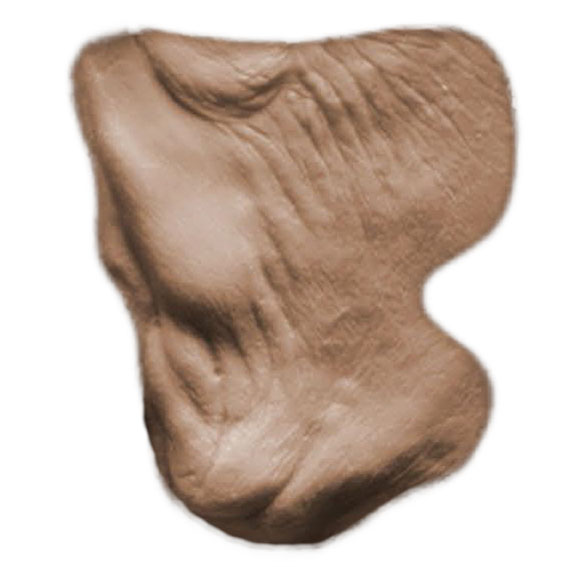 MFX Female Old Age Cheeks 3