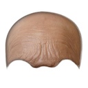 MFX Old Age Forehead Full