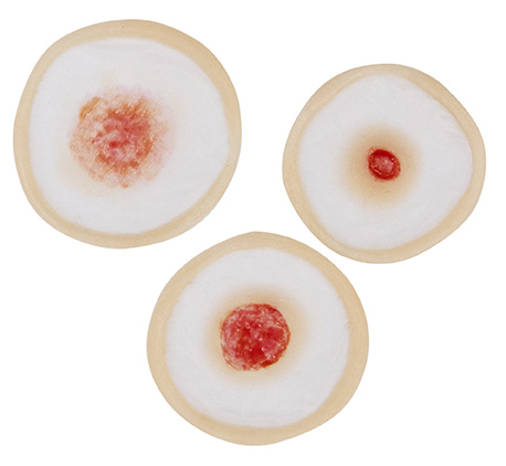 TIGA-D Bullet Holes 3pcs Silicone