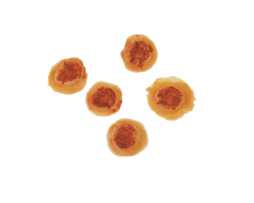 TIGA-D Bullet Holes PU Foam