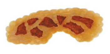 TIGA-D Flesh Burn PU Foam