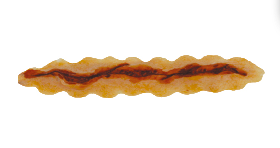 TIGA-D Grosse Schnittwunde PU-Schaumstoff