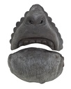 TIGA-D Monkey Face large  Latex Rubber