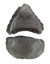 TIGA-D Monkey Face small  Latex Rubber