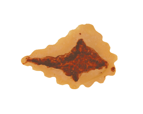 TIGA-D Open Wound #1 Latex Rubber