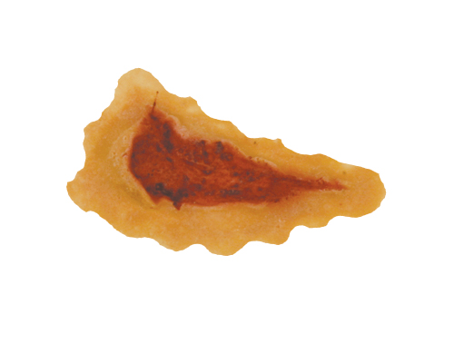 TIGA-D Platzwunde #2 PU-Schaumstoff