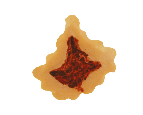 TIGA-D Platzwunde #3 PU-Schaumstoff