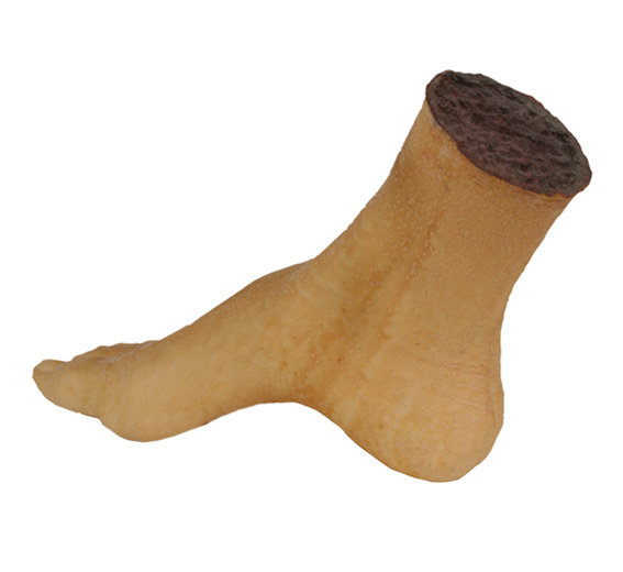 TIGA-D Severed Foot, right