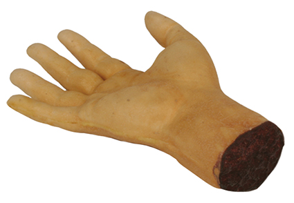 TIGA-D Abgetrennte Hand, rechts