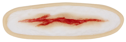 TIGA-D Wunde 2 Silikon