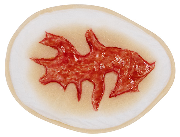 TIGA-D Wound 8 Silicone