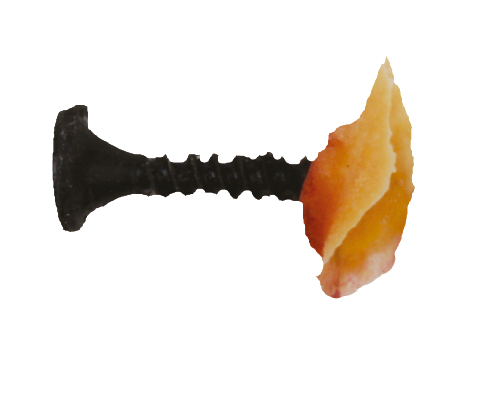 TIGA-D Wunde mit Nagel  Latex Rubber