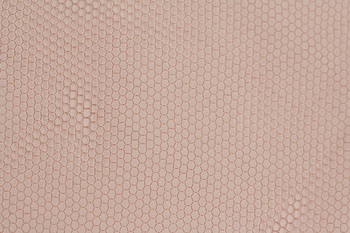ATB Coated Frontlace #84046, Standard Coating - 44 Denier 