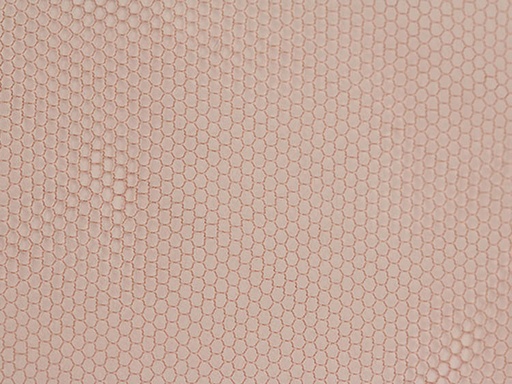 ATB Coated Frontlace #84046, Silk Coating - 44 Denier