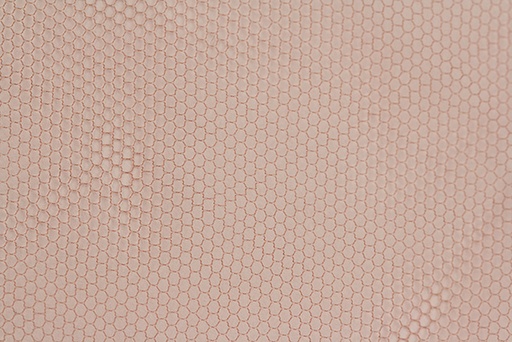 [84046.697temp] ATB Frontlace, fine 84046 - 44 Denier - temporarily unavailable