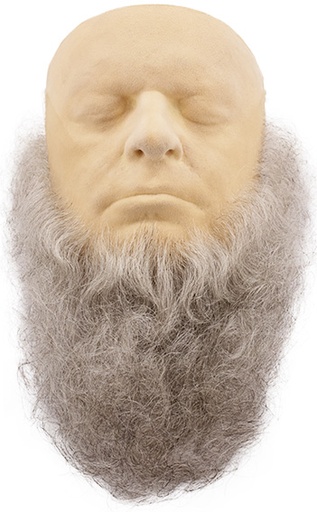 ATB Full Beard B4