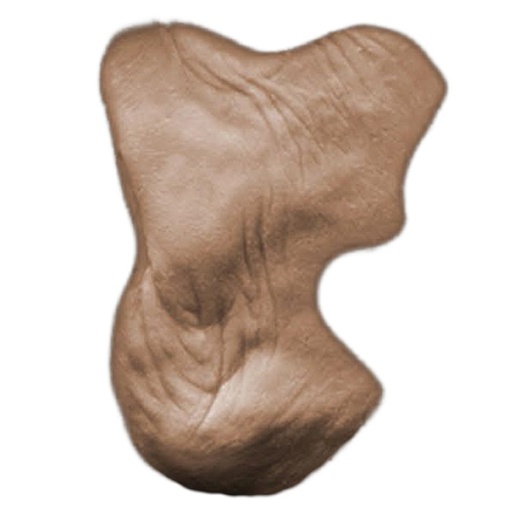 [72.OAFC2] MFX Alte Frauen Wangen 2