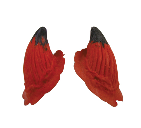 TIGA-D Horns medium  PU Foam